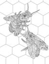 Two Bees On A Beehive Gathering Honey Colorless Line Drawing. Bumblebees Inside A Hive Collecting Food Honeycomb