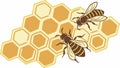 Two Bees on Detailed Honeycomb Pattern, vector design Generative AI Royalty Free Stock Photo