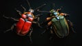 Two Beetles on Black Background: Red And Green Insect Closeup Royalty Free Stock Photo