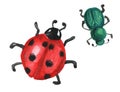 Two beetles: green beetle and red ladybug.