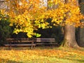 Two benches in the park