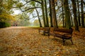 Two Benches in Rainy Day on Autumn