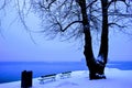 Two Benches in snow island near tree evening wallpaper Royalty Free Stock Photo