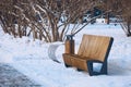 Two benches in a winter snowy park early in the morning. Shadows of tall fir trees on snowdrifts. Sidewalk cleared of Royalty Free Stock Photo