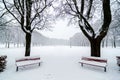 Two benchs in park during a snowfall. Snow covered. Tree alignment. Royalty Free Stock Photo