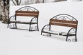Two benchs in a snowy winter park Royalty Free Stock Photo