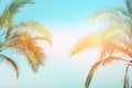 Two bending palm trees on toned vanilla pink peachy sky golden sun flare. Frame border composition. Tropical nature background