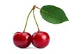 two berries of a ripe juicy red cherry with a green leaf on a white isolated background Royalty Free Stock Photo