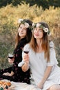 Two best friends on picnic in the field laying on the laid smiling