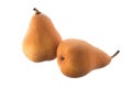 Two Beurre Bosc pears