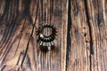 Two bevel gears after manufacturing lie on a wooden background Royalty Free Stock Photo