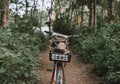 Two bicycle on a forest path, active lifestyle, outdoor sports