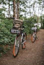 Two bicycle on a forest path, active lifestyle, outdoor sports