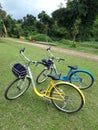 Two Bicycle Ready to Bike Park in the Garden