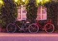 Two bicycle in road side with green leaf in background