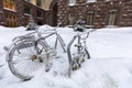 Two bicycles chained to a rack outside are covered in snow during a snowfall
