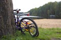 Two bicycles adult and children parked near the big trunk Royalty Free Stock Photo