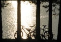 Two bicycles on the lake at sunset, luminous water,