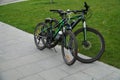 Two bicycles left in the park in summer.