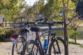 Two bicycles are parked near a tree close-up Royalty Free Stock Photo