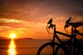 Two bicycles. Royalty Free Stock Photo