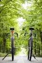 Two bicycles Royalty Free Stock Photo