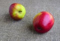 Two big apples are against the background of gray natural fabric. Royalty Free Stock Photo
