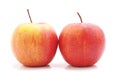 Two big apples Royalty Free Stock Photo
