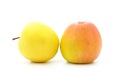 Two big apples Royalty Free Stock Photo