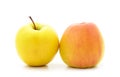 Two big apples Royalty Free Stock Photo