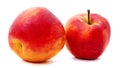 Two big apples Royalty Free Stock Photo