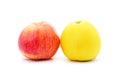 Two big apples Royalty Free Stock Photo