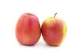 Two big apples Royalty Free Stock Photo