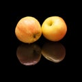 Two big apples with water drops Royalty Free Stock Photo