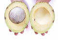 Two big avocado halves Royalty Free Stock Photo