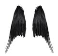 Two big black raven wings with big feathers isolated on white background Royalty Free Stock Photo