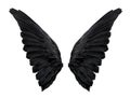 Two big black raven wings isolated on white background Royalty Free Stock Photo