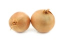Two big brown onions Royalty Free Stock Photo