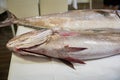Two big fresh raw fish Corvina and Greater Amberjack on table