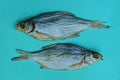 Two big gray dried fish on a blue table