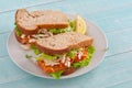 Two big sandwiches with chicken Royalty Free Stock Photo