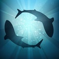 Silhouettes of Sharks in the Water Royalty Free Stock Photo