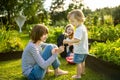 Two big sisters and their toddler brother having fun outdoors. Two young girls holding baby boy on summer day. Children with large Royalty Free Stock Photo