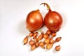 Two big sweet onions and many small onions on a fabric background Royalty Free Stock Photo