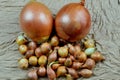 Two big sweet onions and many small onions on a fabric background Royalty Free Stock Photo