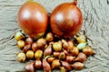 Two big sweet onions and many small onions on a fabric background Royalty Free Stock Photo