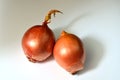 Two big sweet onions on a white background Royalty Free Stock Photo