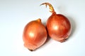 Two big sweet onions on a white background Royalty Free Stock Photo