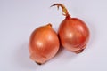 Two big sweet onions on a white background Royalty Free Stock Photo