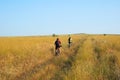 Two bike tourist on rural road Royalty Free Stock Photo